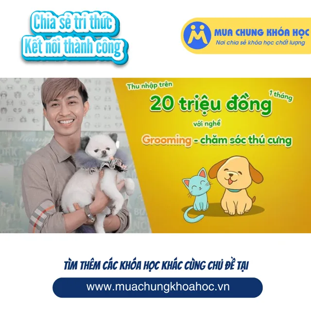 UKD37. Thu nhập trên 20 triệu đồng 1 tháng với nghề Grooming - chăm sóc thú cưng