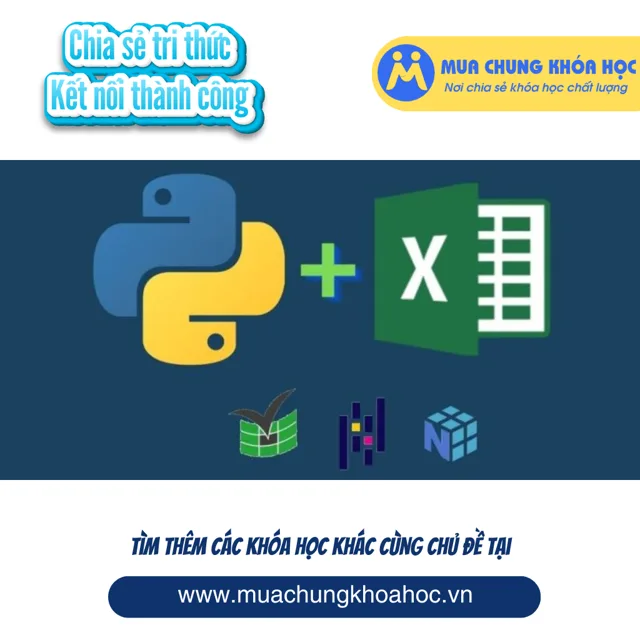 UTH63. Python Excel cho người đi làm